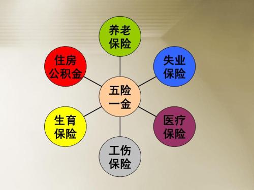社保與五險一金的區別是什么 第1張 社保與五險一金的區別是什么 第1張